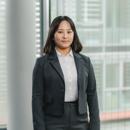 Meihui Zhang